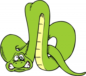 snake (1).jpg